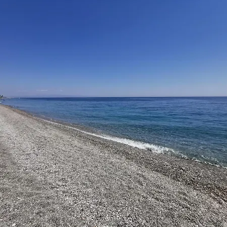 Almoetia *