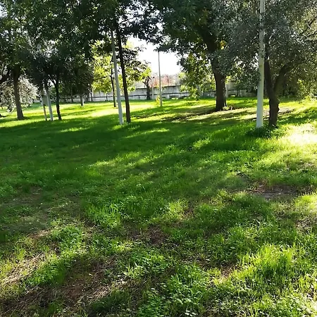 Almoetia * Calatabiano