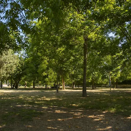 Kemping Almoetia Calatabiano