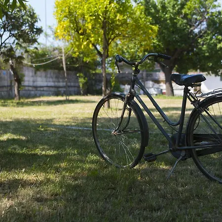 Almoetia Kemping Calatabiano